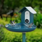 Smart Bird Feeders