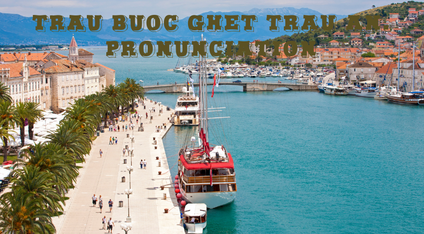 trau buoc ghet trau an. pronunciation