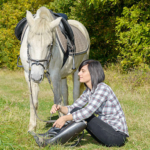 Horse Therapy for Addiction Recovery